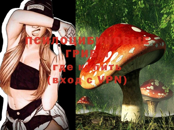 MESCALINE Нязепетровск