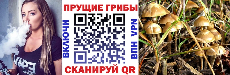 Псилоцибиновые грибы MAGIC MUSHROOMS  Малая Вишера 